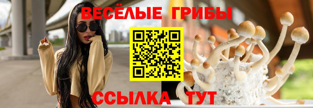 купить  сайты  Псилоцибиновые грибы ЛСД  Вход с VPN  Ногинск 